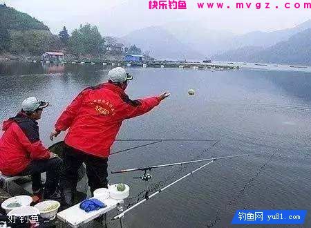 不同对象鱼的打窝饵料和打窝方法(图2)