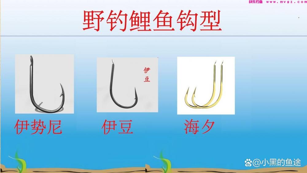 野钓鲤鱼用哪种鱼钩？大小、钩型详细讲解，新手用对很重要(图4)