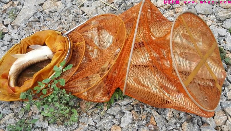 春季钓鲤鱼，注重饵料的搭配使用，上鱼快鱼获多(图4)