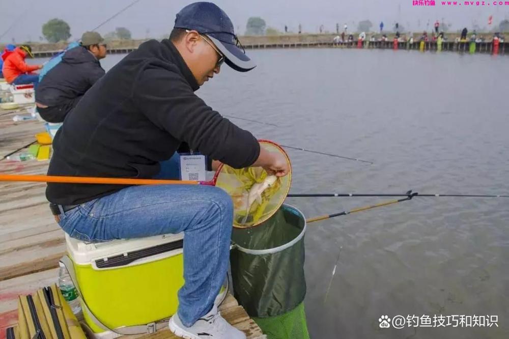果酸在春季钓黑坑鲤鱼是否有用？果酸在钓黑坑鲤鱼时的作用和用法(图2)