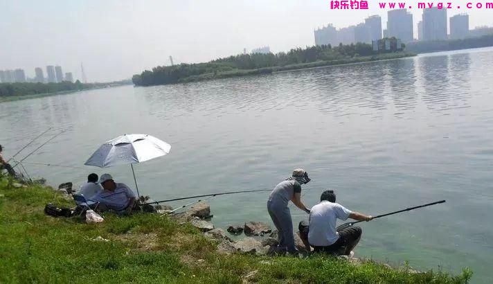 实打实的钓鲤经验，都是干货，不扯虚的！(图1)