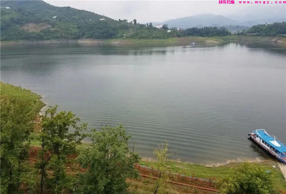 实打实的钓鲤经验，都是干货，不扯虚的！(图2)