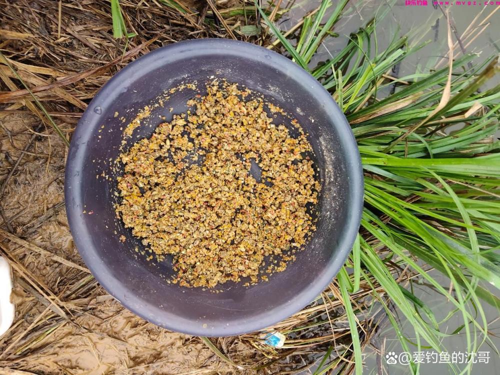 清明节前好不好钓鲤鱼？(图5)