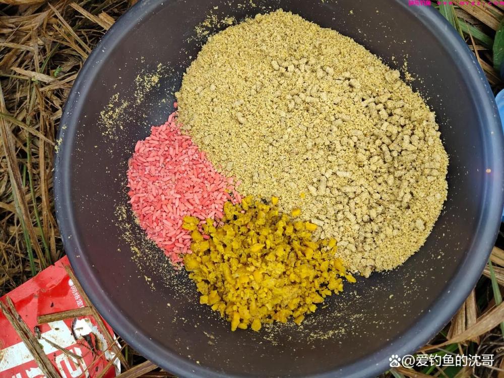清明节前好不好钓鲤鱼？(图6)