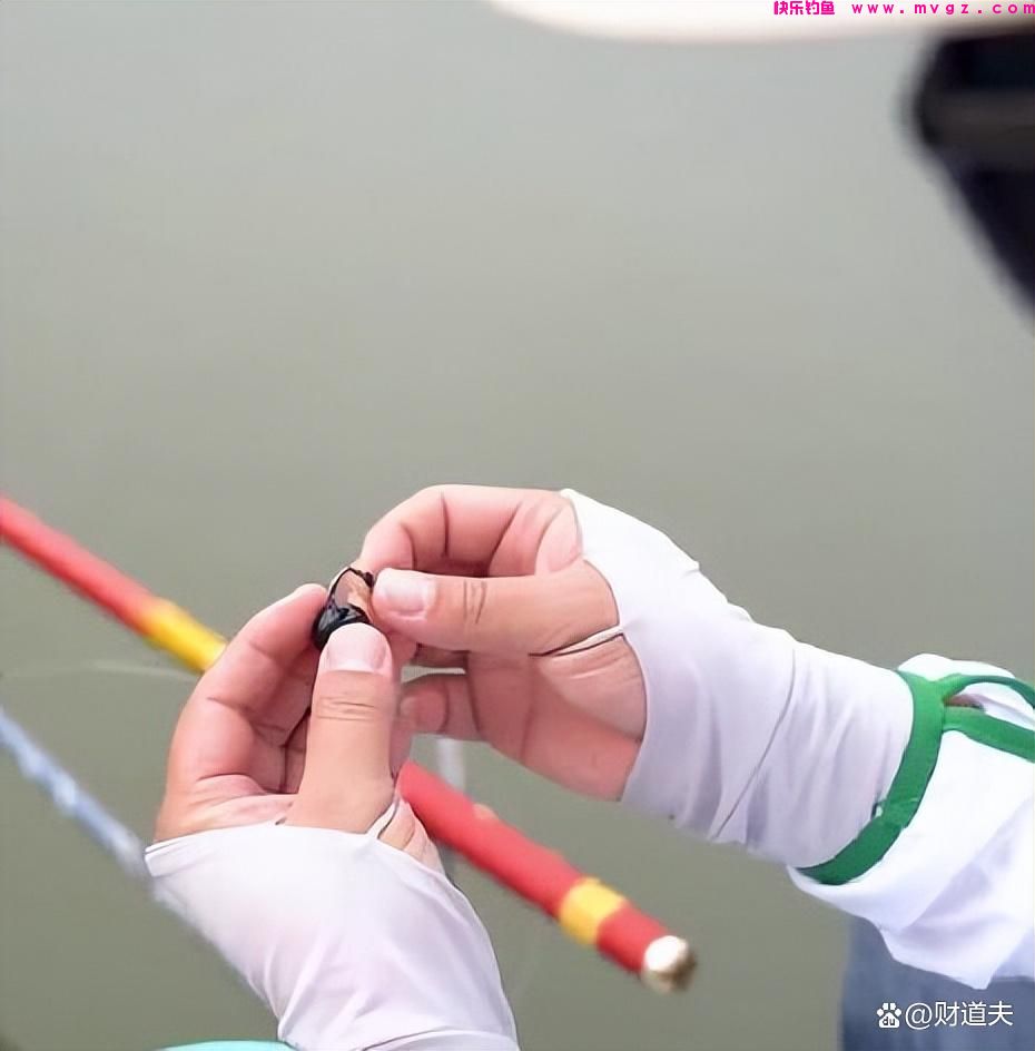 春季钓鲤鱼：这些饵料最有效，让你轻松收获丰硕！(图1)
