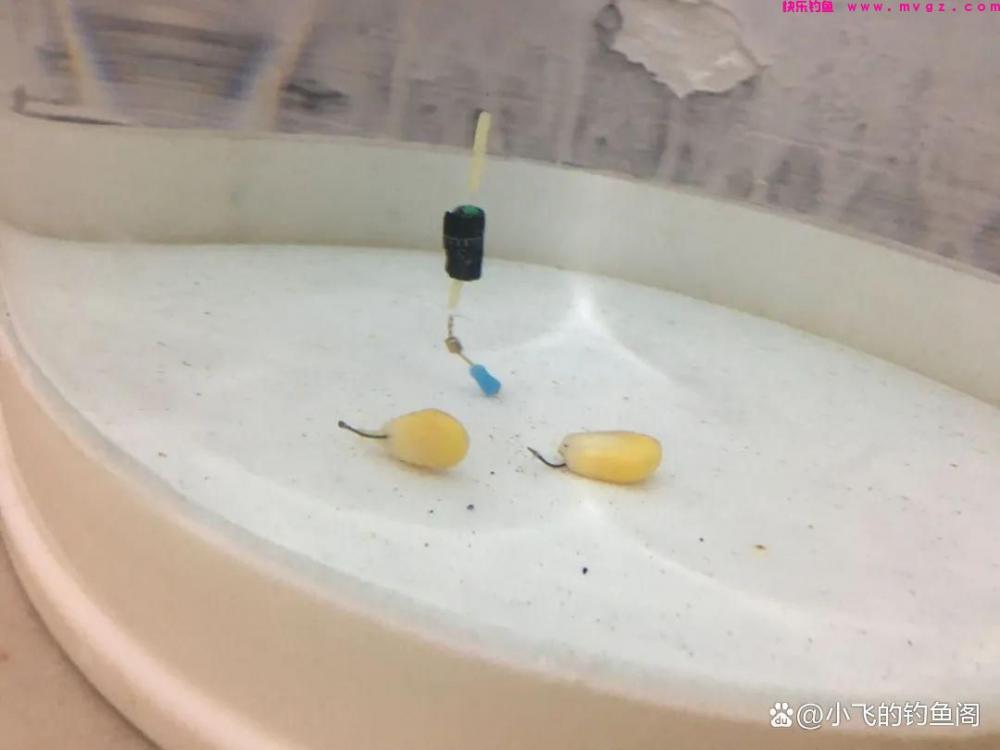 钓鲤鱼只学这2种调漂方法,不谈灵钝,能上鱼才是王道!(图2) 钓鲤鱼只学这2种调漂方法,不谈灵钝,能上鱼才是王道!(图2)