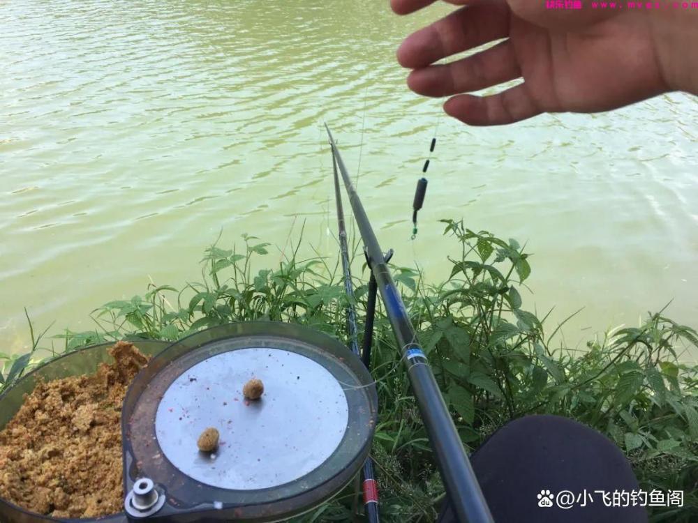 钓鲤鱼只学这2种调漂方法,不谈灵钝,能上鱼才是王道!(图1) 钓鲤鱼只学这2种调漂方法,不谈灵钝,能上鱼才是王道!(图1)