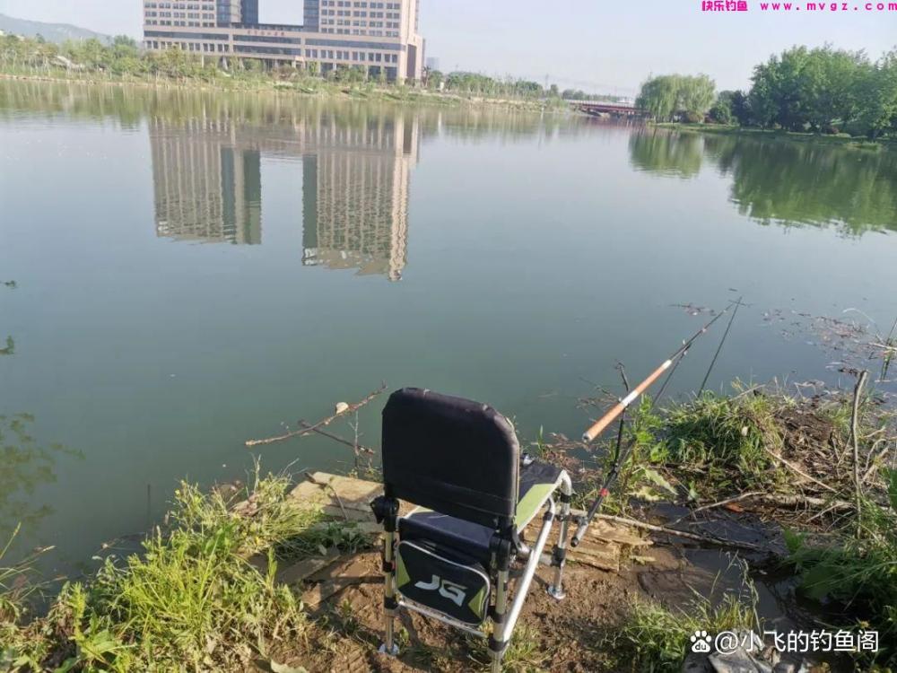 春季钓鲤鱼怎么总空军？恐怕是选错了水深，才错过了鱼！(图2)