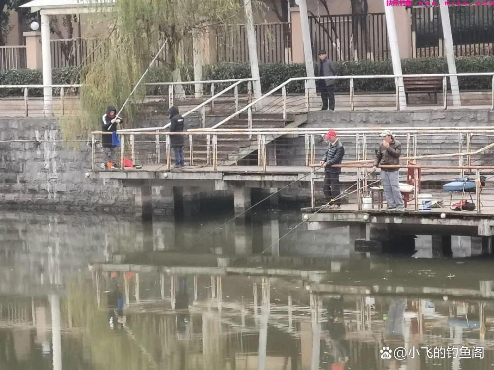 春季钓鲤鱼怎么总空军？恐怕是选错了水深，才错过了鱼！(图3)