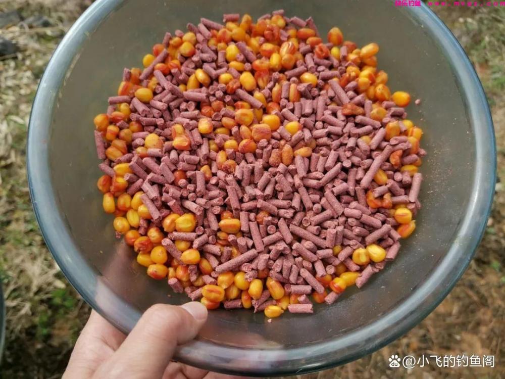 春季钓鲤鱼怎么总空军？恐怕是选错了水深，才错过了鱼！(图5)