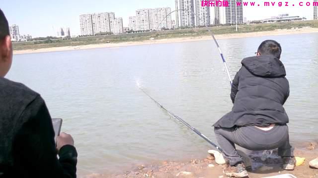冬季野钓鲤鱼攻略，一条就爆护，得找准地方(图2)