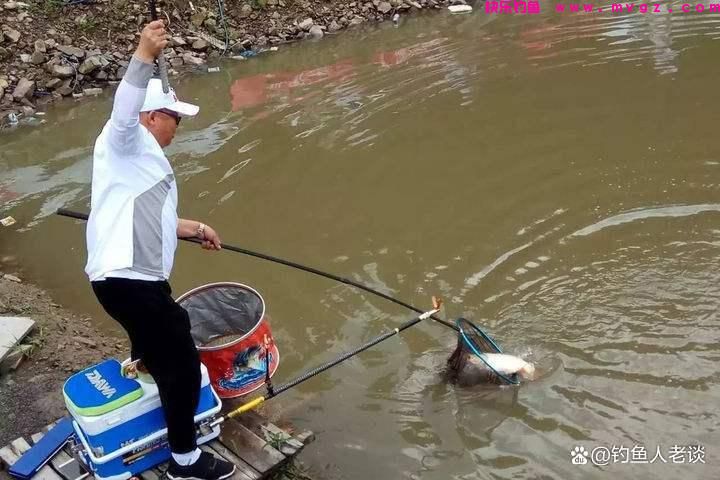 黑坑钓鲤鱼怎么样才能比别人钓的更多？这6点小细节千万不可忽视(图5)