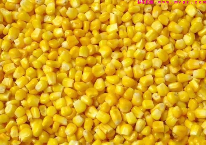 晚秋野钓大鲤鱼，使用这几种饵料，多钓三五条还是有把握的(图2)