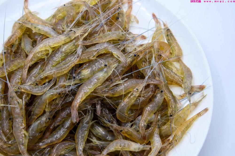 晚秋野钓大鲤鱼，使用这几种饵料，多钓三五条还是有把握的(图5)