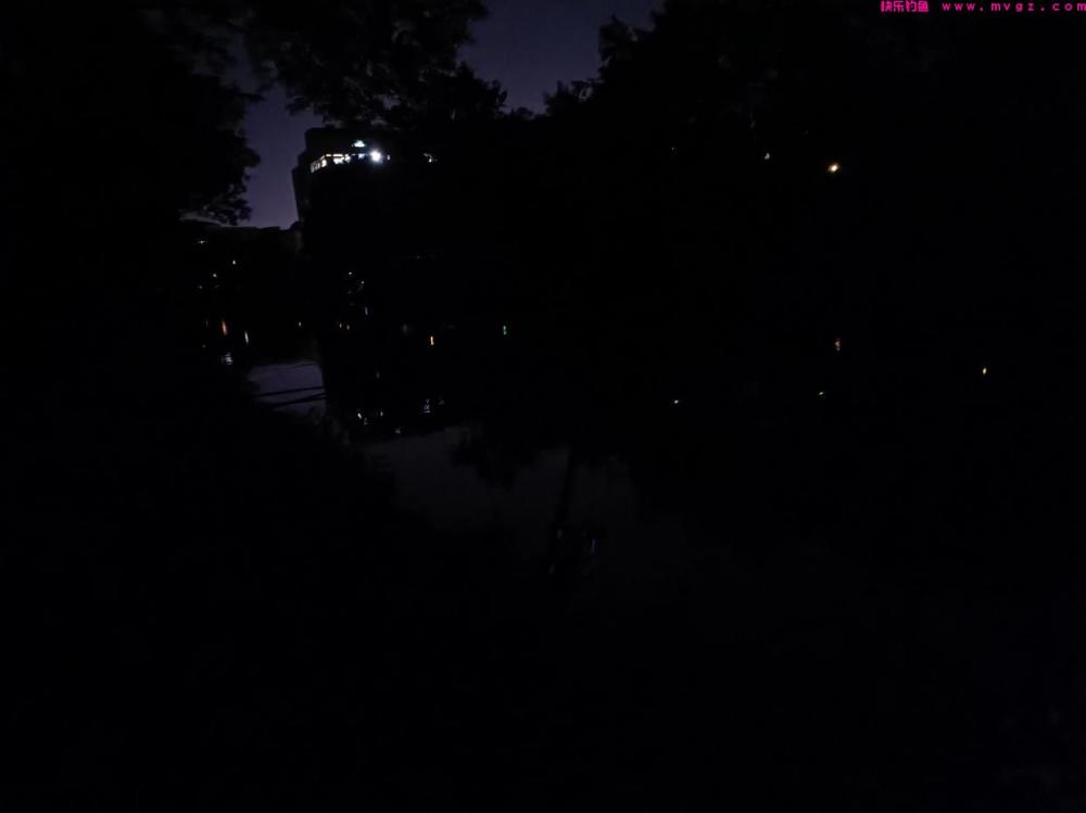 秋季夜钓鲤鱼怎么才好钓，掌握以下几点钓鱼不难