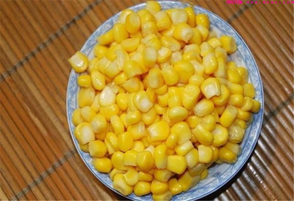 玉米钓鲤鱼的3大“绝招”，钓鱼新手也能用，别再说玉米钓鱼不行(图1)