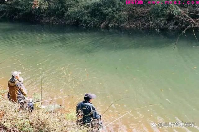 夏天垂钓鲤鱼需要注意哪些方面？学会这五个方面，何愁鱼儿不上钩(图4)
