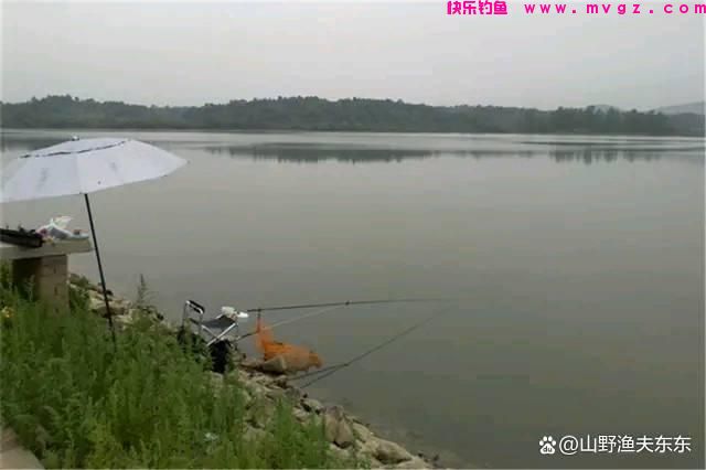 夏天垂钓鲤鱼需要注意哪些方面？学会这五个方面，何愁鱼儿不上钩(图1)