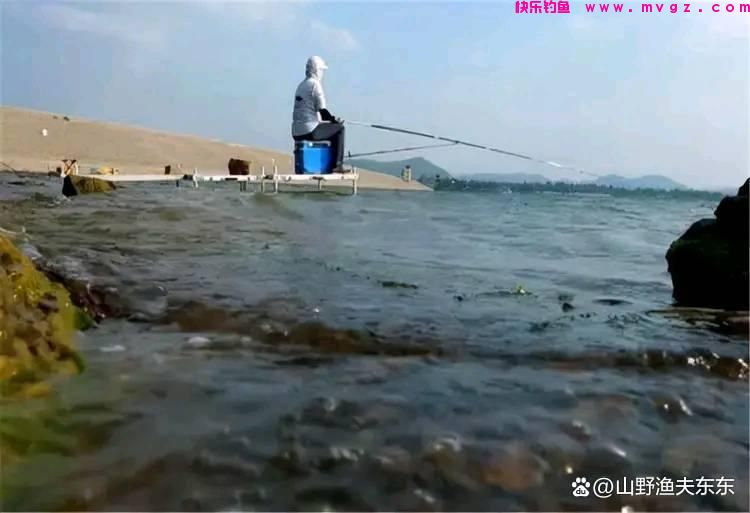 夏天垂钓鲤鱼需要注意哪些方面？学会这五个方面，何愁鱼儿不上钩