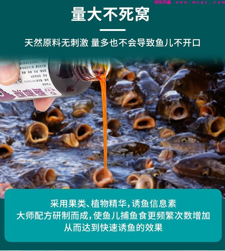 嘿友鱼-麝香酒 钓鲤鱼饵料添加剂(图2)