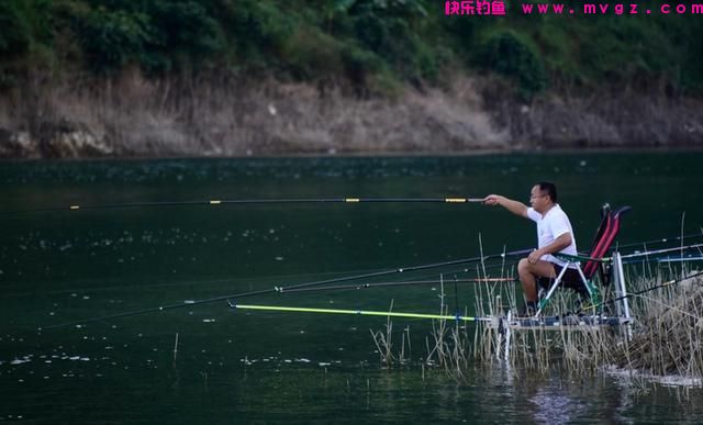 钓鲤鱼怎么选浮漂？(图2)