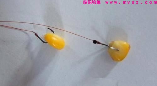 用玉米钓鲤鱼有4个注意事项，全做到了，鱼线会被拉得嗖嗖响(图3)