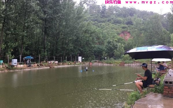 夏季天热，鲤鱼“狡猾”难钓？试试这4招，别不信，大鲤鱼照样上(图1)