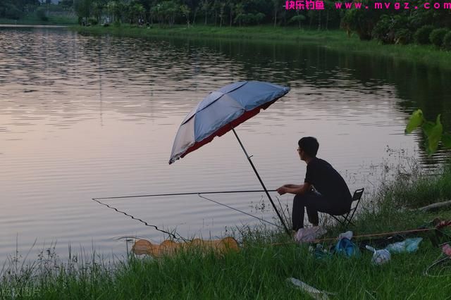 夏季天热，鲤鱼“狡猾”难钓？试试这4招，别不信，大鲤鱼照样上(图3)