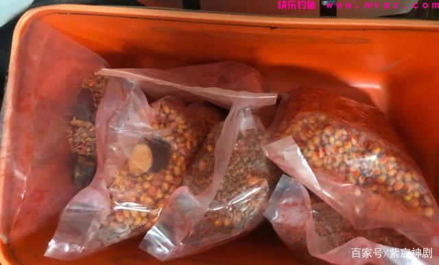 野外鲤鱼没有想象中那么难钓，掌握这5个技巧，新手一样钓得多(图2)