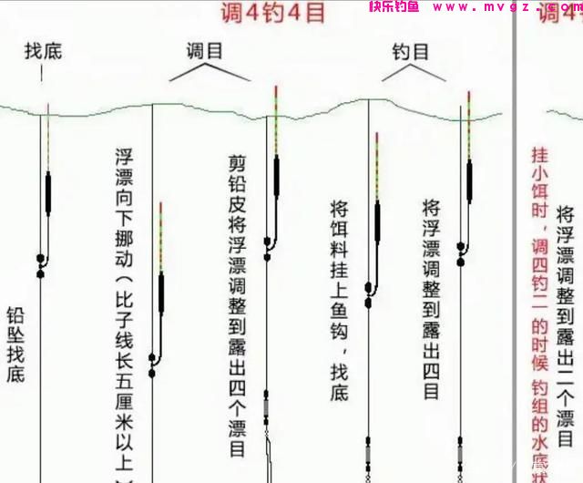 野外鲤鱼没有想象中那么难钓，掌握这5个技巧，新手一样钓得多(图6)