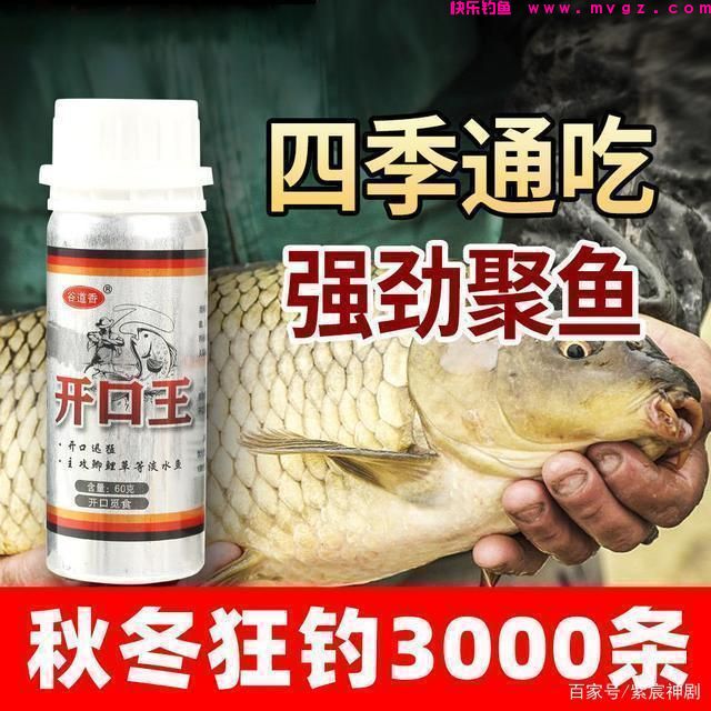 野外鲤鱼没有想象中那么难钓，掌握这5个技巧，新手一样钓得多(图10)