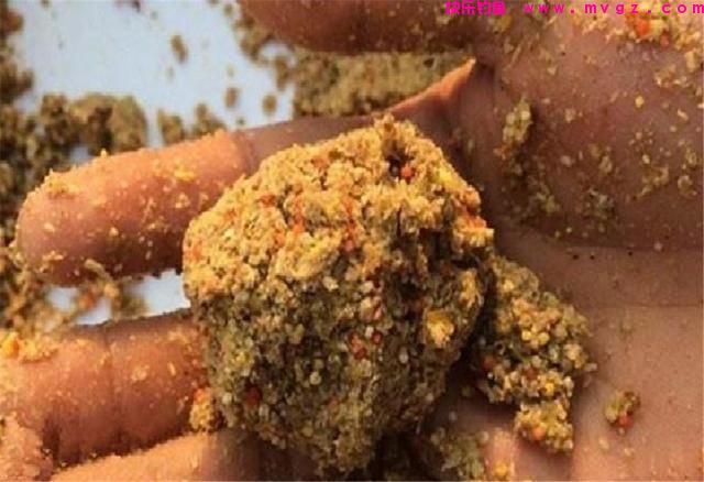 这东西专攻鲤鱼，鱼儿见它久聚不散，想钓鲤鱼别错过(图3)