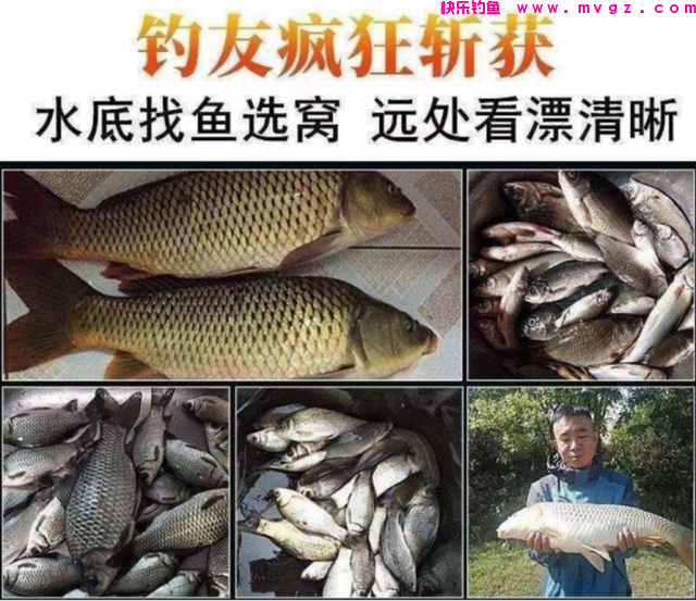 这东西专攻鲤鱼，鱼儿见它久聚不散，想钓鲤鱼别错过(图10)