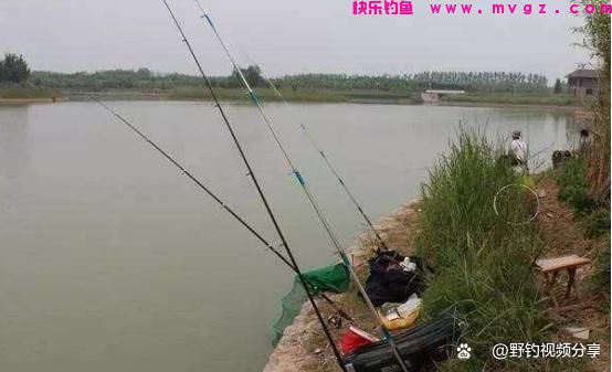 春末夏初钓鲤鱼，认准这3个“钓位”，快速锁定鱼窝，一钓一个准(图4)