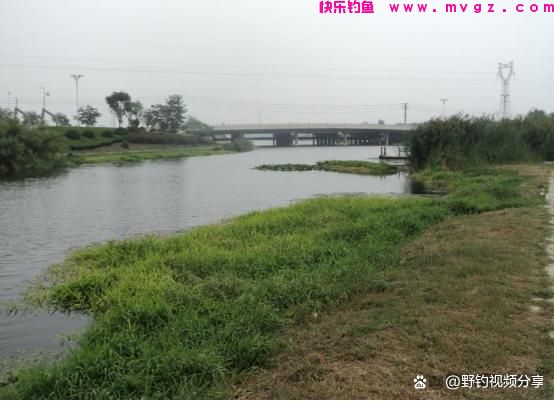 春末夏初钓鲤鱼，认准这3个“钓位”，快速锁定鱼窝，一钓一个准(图2)