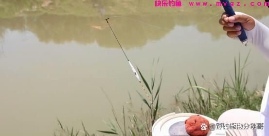 春末夏初钓鲤鱼，认准这3个“钓位”，快速锁定鱼窝，一钓一个准(图3)