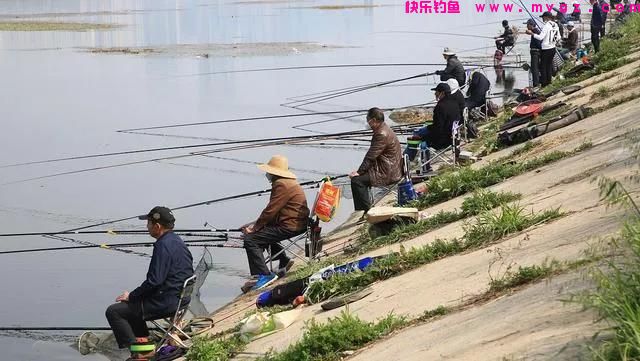 晚春钓鲤鱼，遵循这4大“规律”，屡试不爽，大鲤鱼上不停(图4)