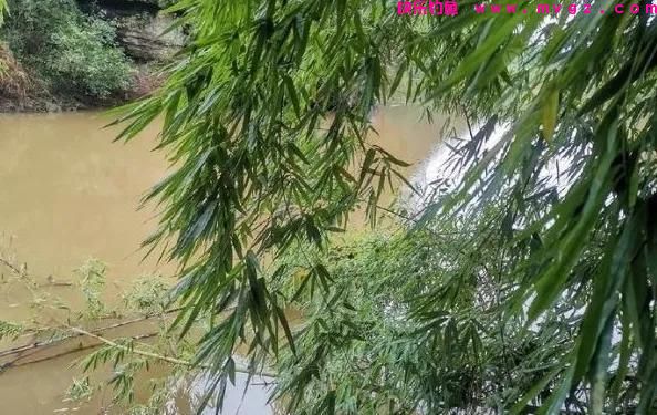 晚春钓鲤鱼，遵循这4大“规律”，屡试不爽，大鲤鱼上不停(图2)