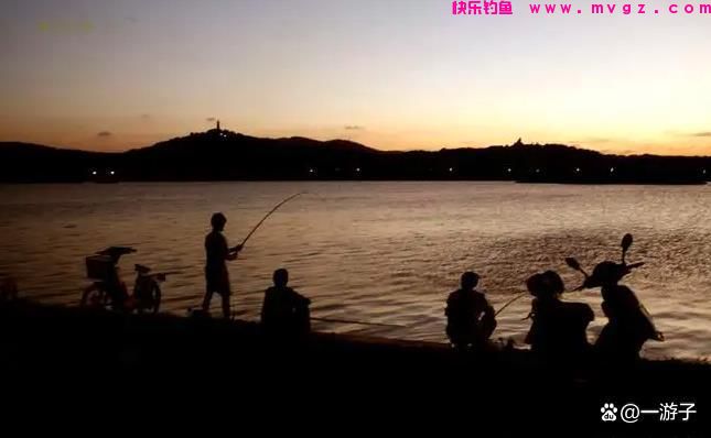 走水夜钓鲤鱼(图3)