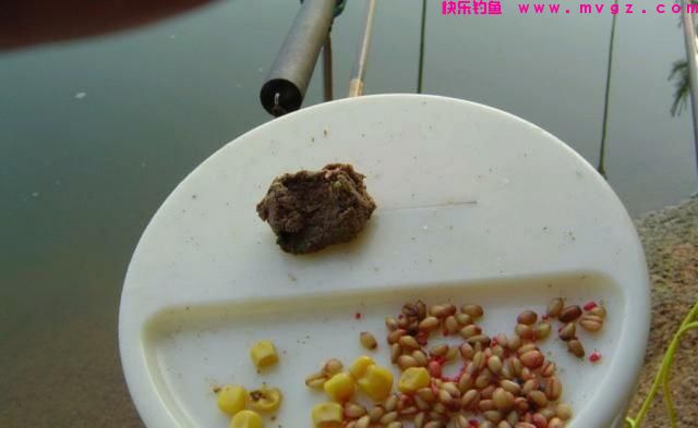 钓鲤鱼用什么饵料最好?(绝杀饵)(图2) 钓鲤鱼用什么饵料最好?(绝杀饵)(图2)