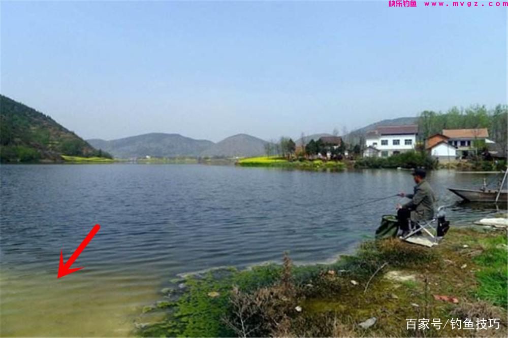 春钓鲤鱼，钓位选择的3大策略，找鲤鱼扎堆的地方，轻松连竿上鱼(图5)