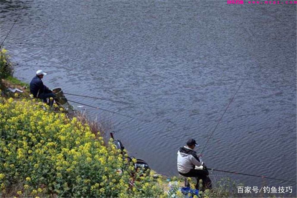 春钓鲤鱼，钓位选择的3大策略，找鲤鱼扎堆的地方，轻松连竿上鱼(图4)
