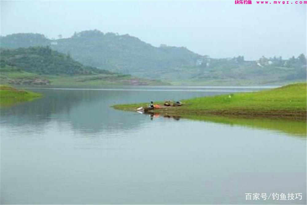 春季钓鲤鱼，核心秘诀有4条，这些招数要常用，想不爆护都难！(图2)