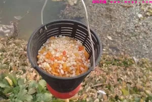 钓鲤鱼，只要掌握3大技巧，钓多少，你来定！(图2)