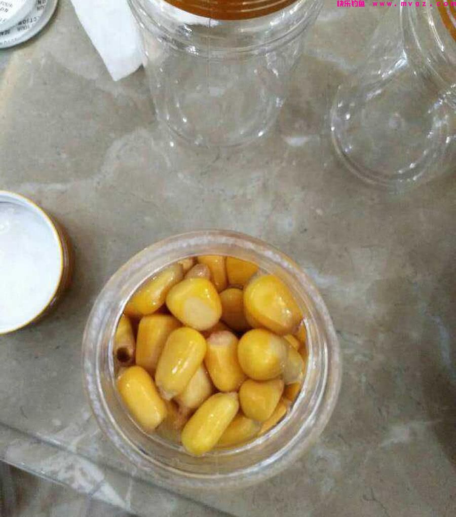 玉米钓鲤鱼有窍门，技巧全在这里，学会后鲤鱼排队咬钩(图2)