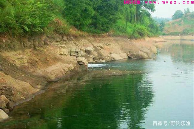 如何钓鲤鱼?(图3) 如何钓鲤鱼?(图3)