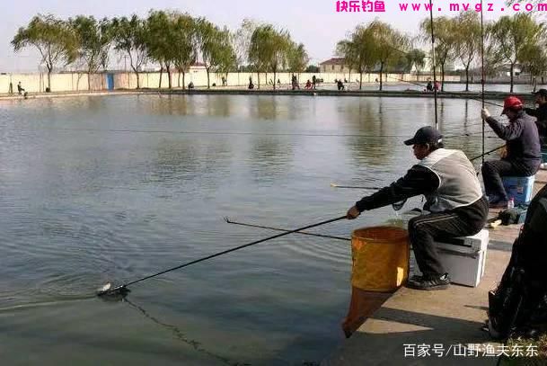春钓大鲤鱼，这四招必备(图1)