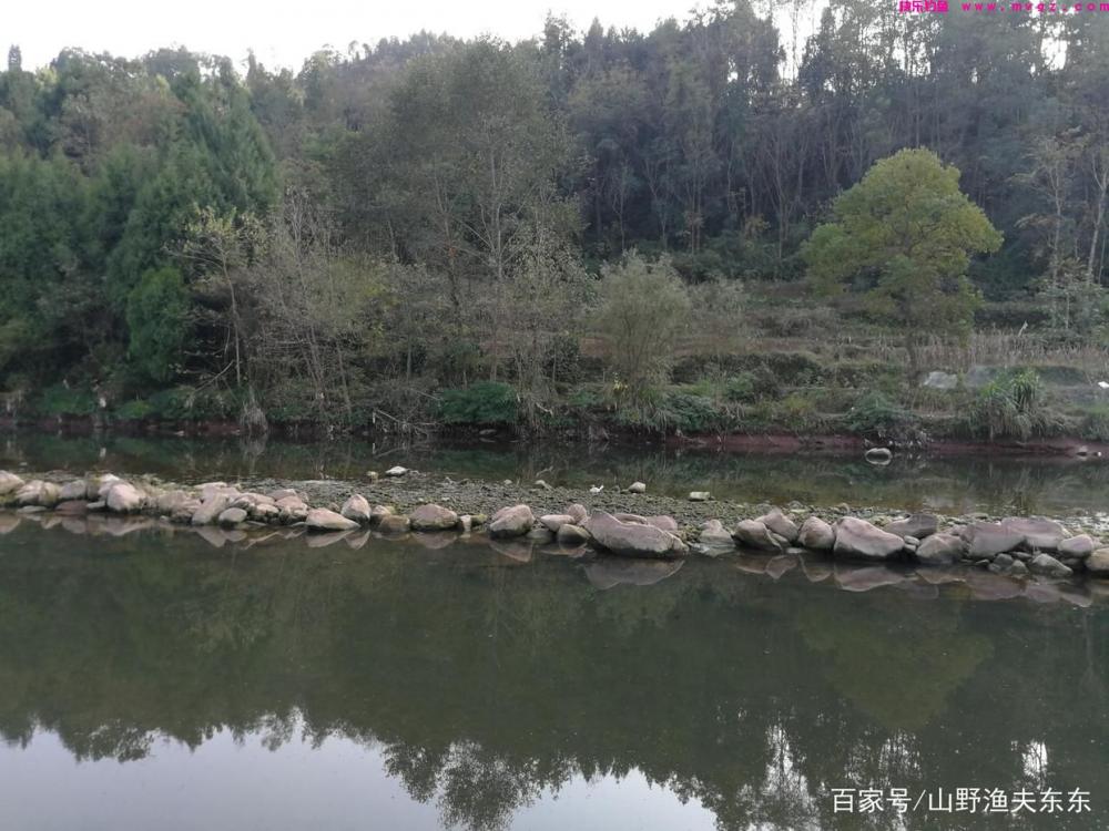 春钓大鲤鱼，这四招必备(图2)