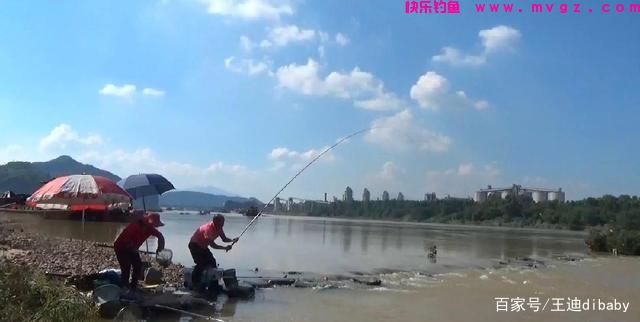 为什么这么多人喜欢钓鲤鱼？原来很棒的鱼，难怪这么多人喜欢钓鱼(图2)
