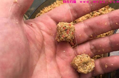 适合新手钓鲤鱼的方法，可钓到比平时多几倍的渔获！(图3)